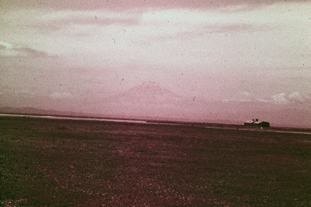 Japan 1954