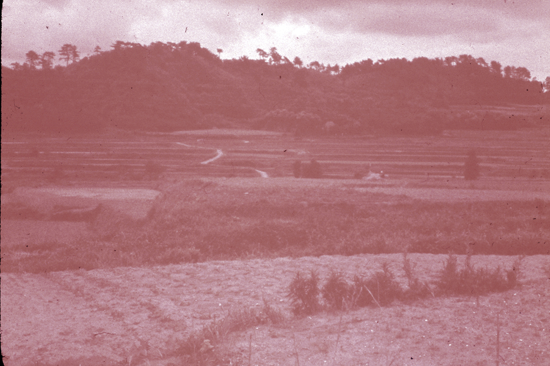 Japan 1954