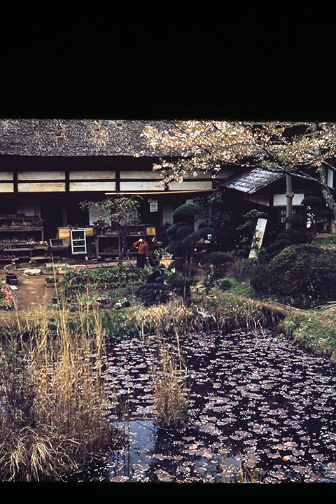 Japan 1954